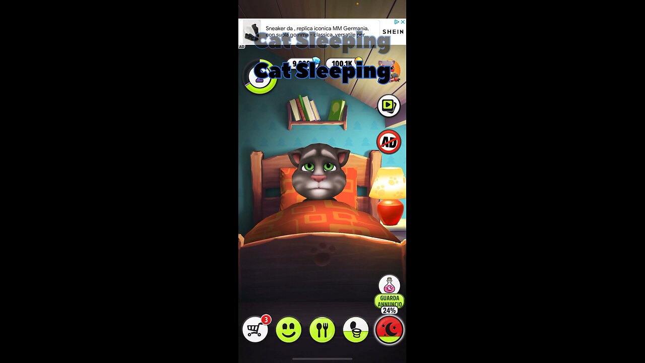 Funny cat sleeping