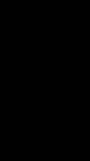 John’s rap battles steadfast rap box solo 1