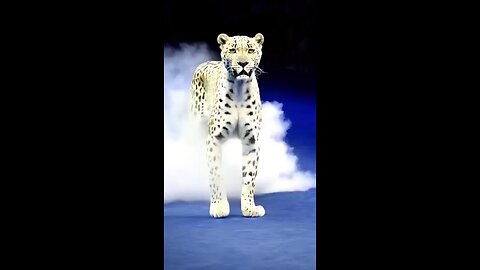 Model girl Transform into White leopard On AGT.