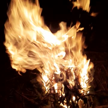 Fogey night fireworks