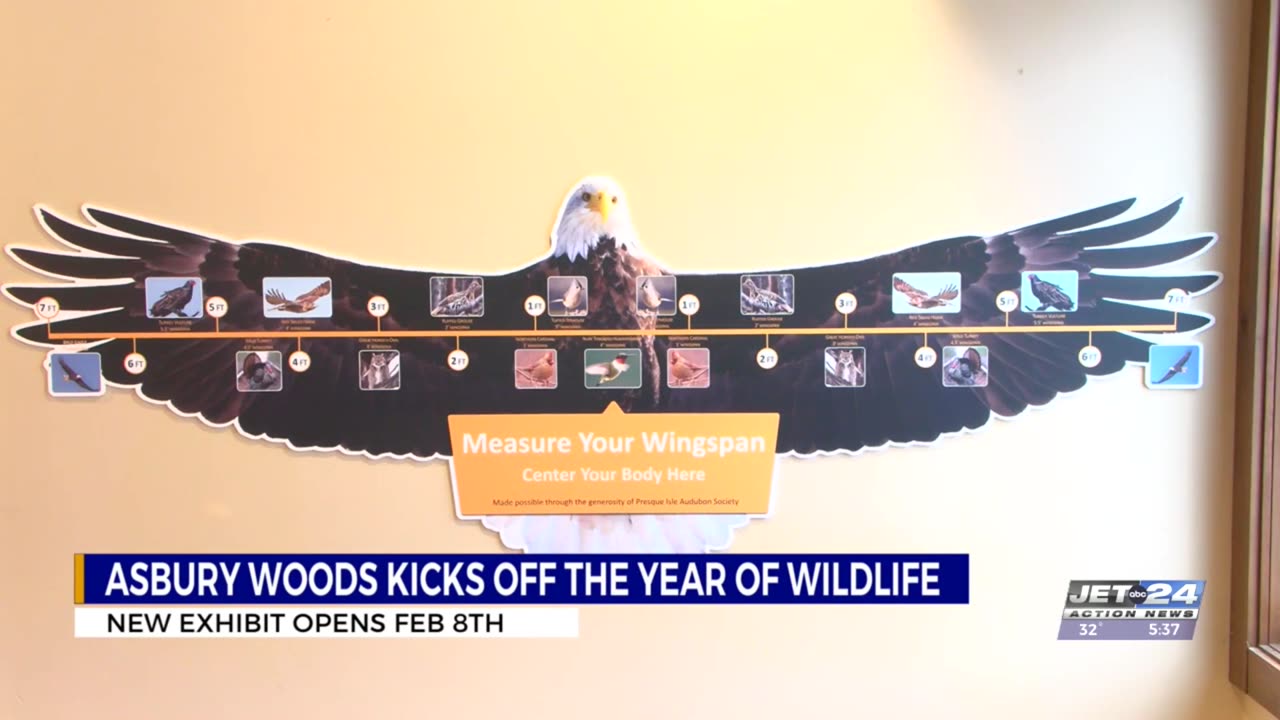 Asbury Woods releasing new exhibit on Pennsylvania native species