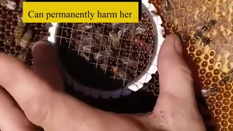 ✨️