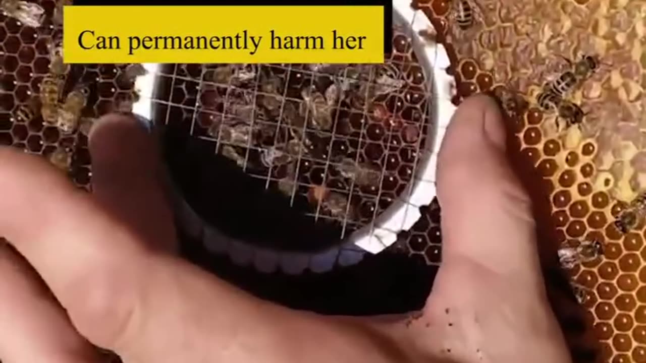 ✨️