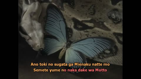 MALICE MIZER - au revoir PV (merveilles ver.)romaji