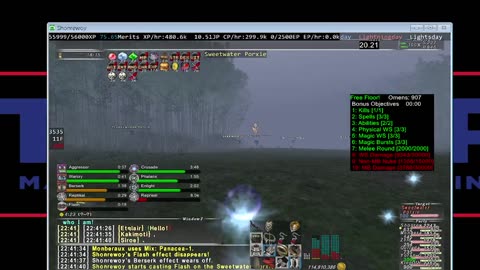 Playing Final Fantasy XI Online