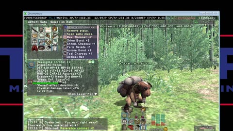 Playing Final Fantasy XI Online