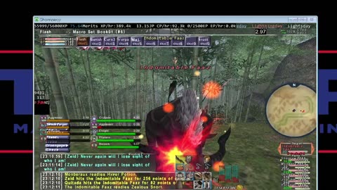 Playing Final Fantasy XI Online