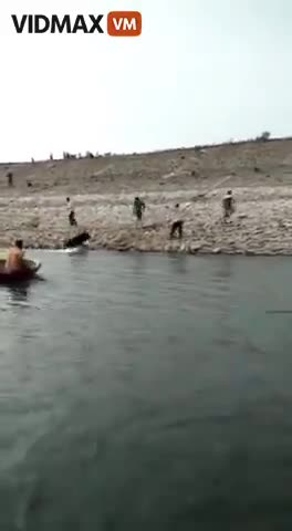 shitskin jeet gets eaten by a bear.mp4