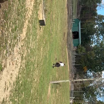 Malachi and Luke 10/13/2024-B