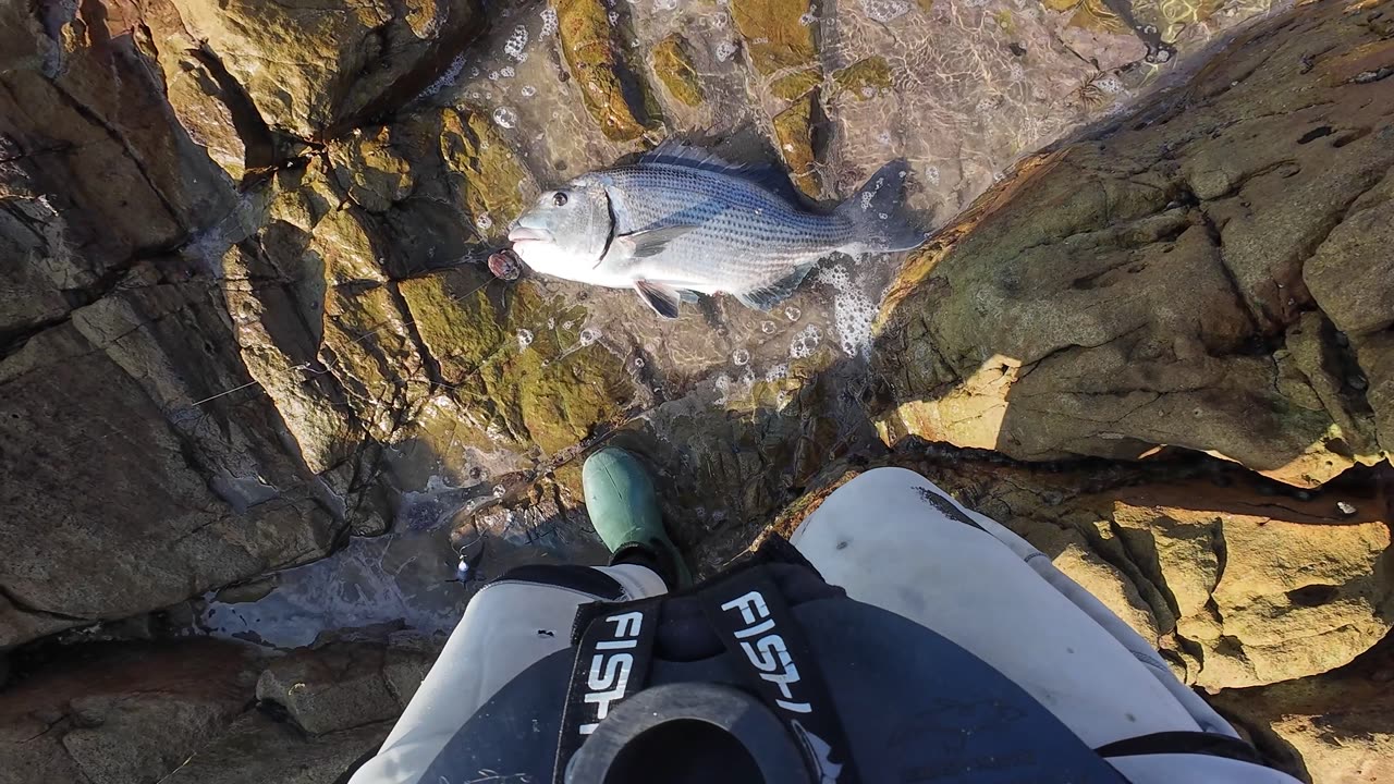 POENSIE & Brusher Compilation of 2024!!