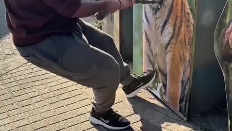 "Strength Challenge: Man Tests Animals by Pulling Ropes!"