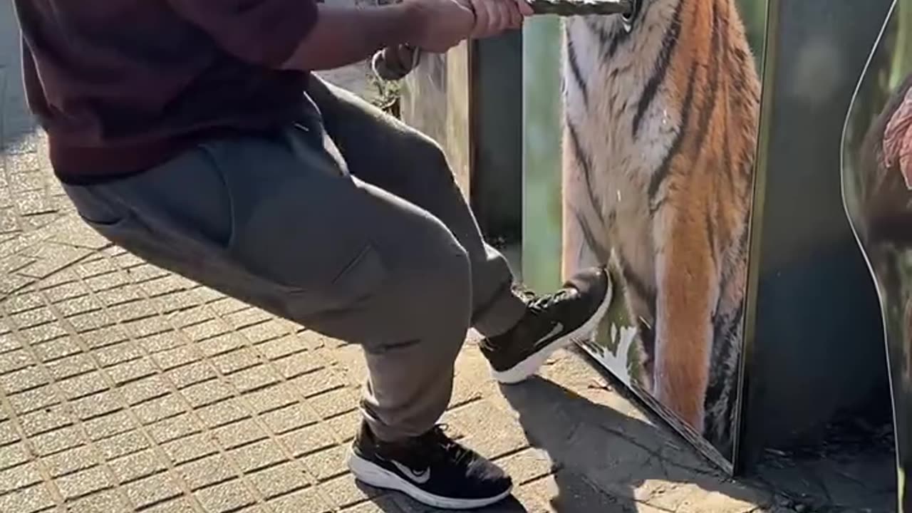 "Strength Challenge: Man Tests Animals by Pulling Ropes!"
