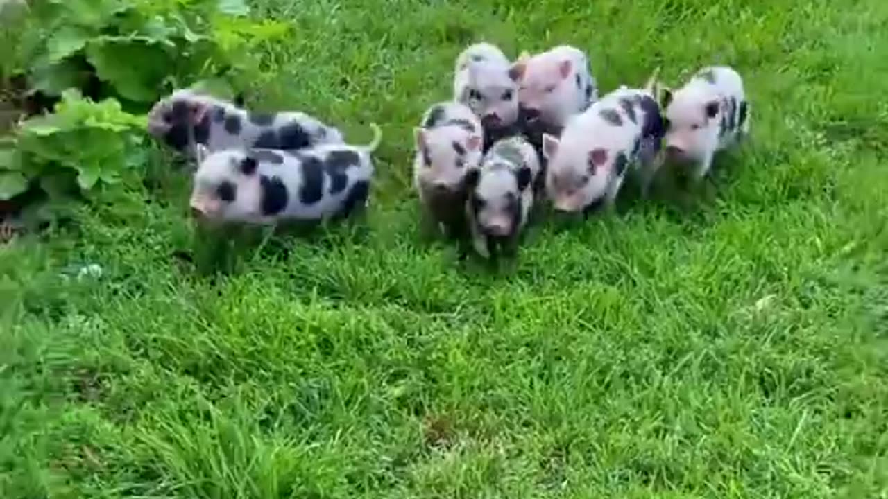 Say something ❤️