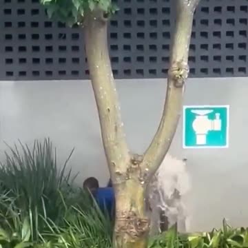 The decline of South Africa - by its own inhabitants. Mandelas dream.. destroyed