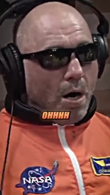 Joe Rogans AMAZED By Bears 😯