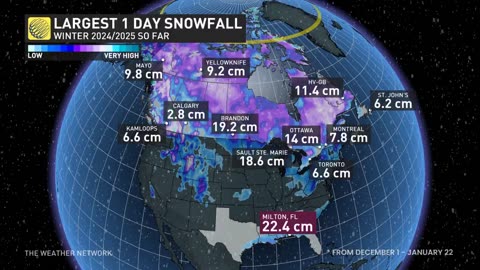 La Florida ha avuto una enorme nevicata