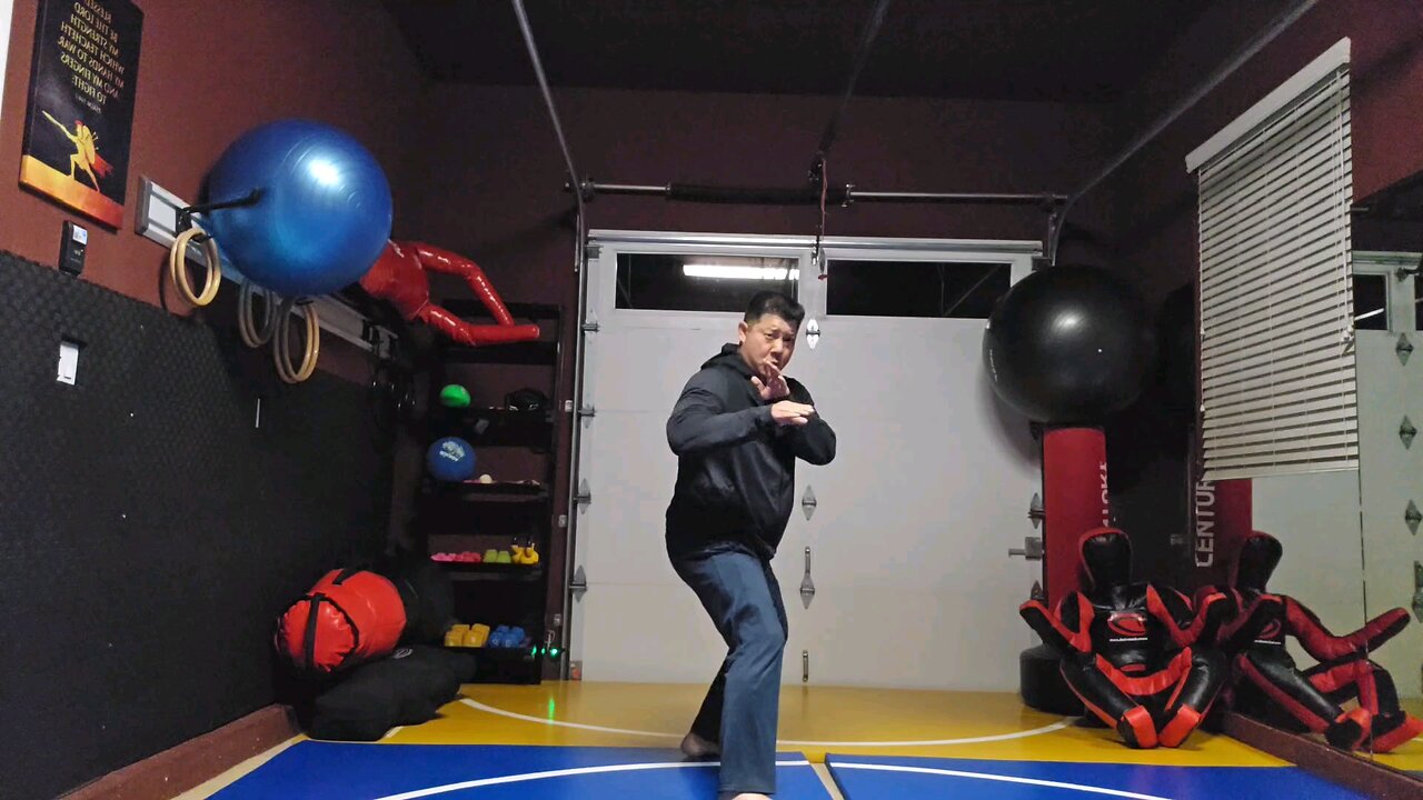 WTD 2 Step Kick Combination 54