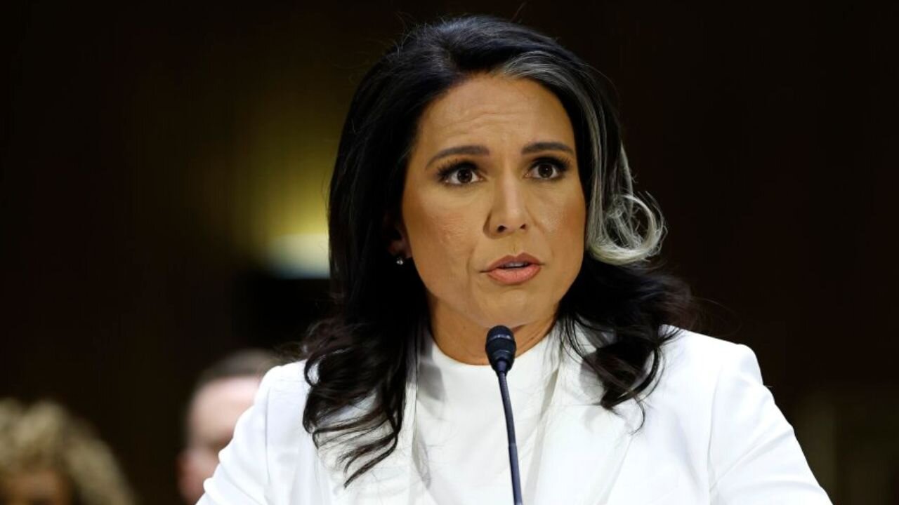 Senator Drops Bombshell Tulsi Gabbard News After Hearing - Oh No