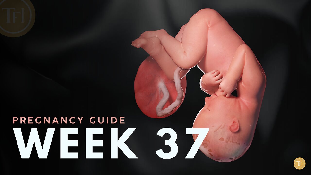 What to Expect at Week 37 | Week by Week Pregnancy Guide