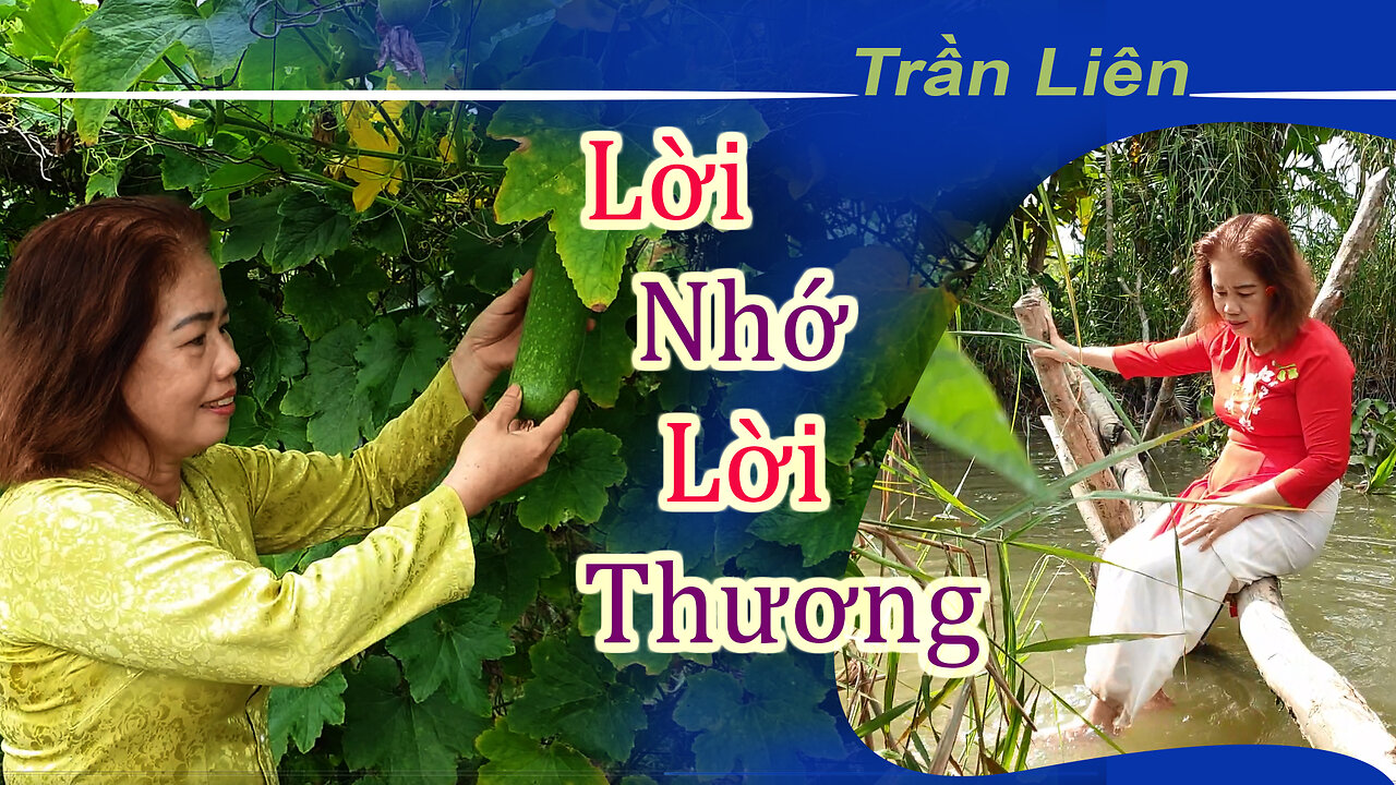 Video Ca Nhạc: LỜI NHỚ LỜI THƯƠNG - TRẦN LIÊN | 7 Sắc Tây Đô