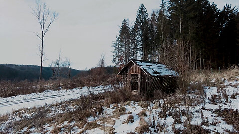 At The Old Feeding Spot - ASMR Crunchy Snow Walk In The Forest