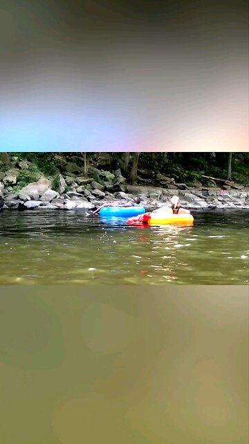 They Chose the WORST Survival Plan! Basically Rang the Dinner Bell! 😂🐊