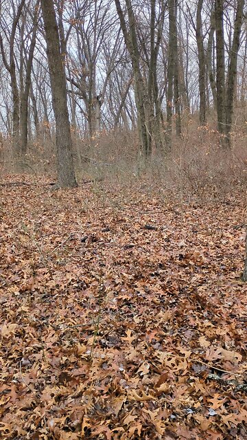 Reason for the Season