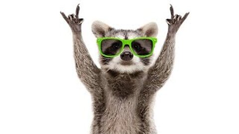 The Ultimate Funny Animal Videos Compilation