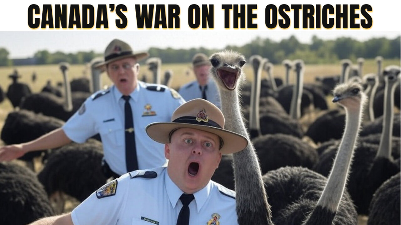 Canadian Tyranny Runs RAMPANT! Federal Agency REALLY WANTS to Cull Those Ostriches! Where is PETA?