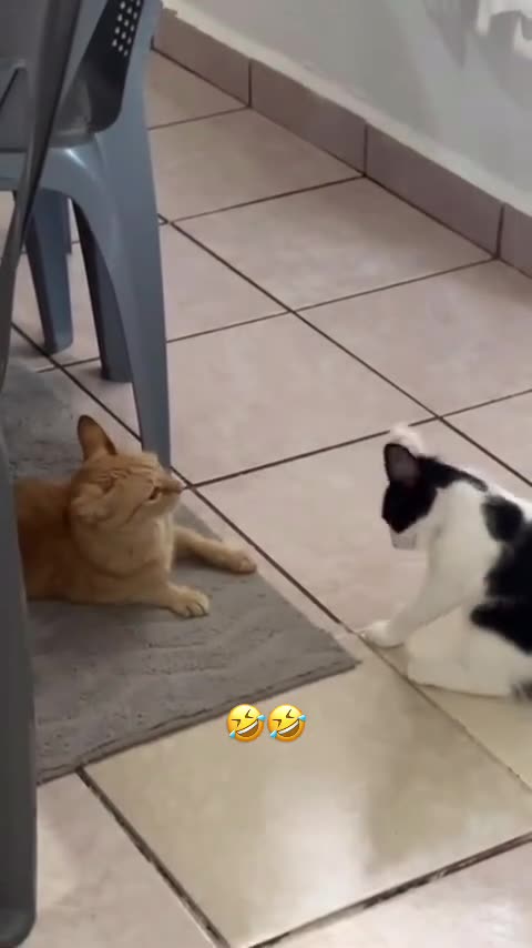 give him an oscar 😂😂😂