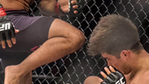 Top 5 Greatest UFC Fighters Ever