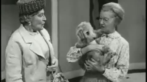 The Beverly Hillbillies Season 2, Episode 12