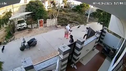 Dogs Attack The Woman