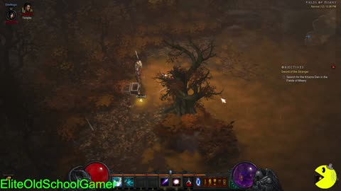 Diablo 3 - Sorceress Walk-through - Act I - Levels 12-15 - Shard 1 of 3 - March 2025