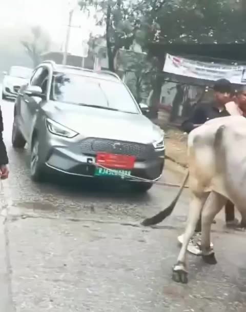 🇮🇳. India. When a locally made electric car broke down.