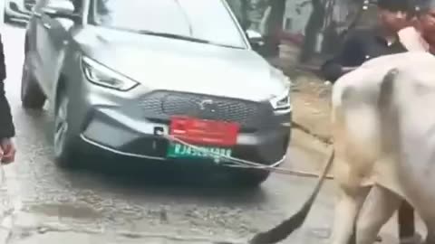 🇮🇳. India. When a locally made electric car broke down.