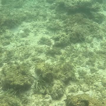 Snorkeling Morning!!