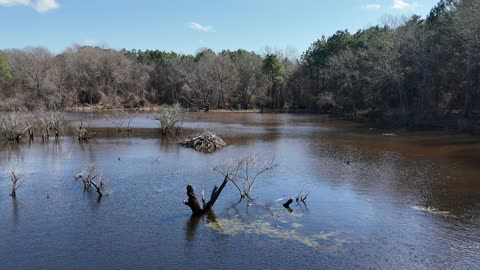 Tannerite VS Beaver Den