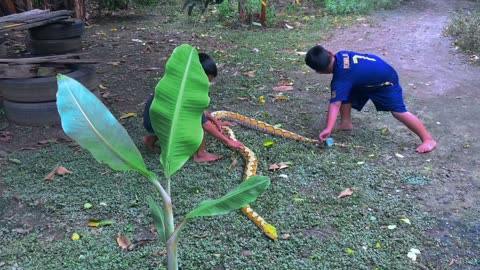 Children who like to play with snakes