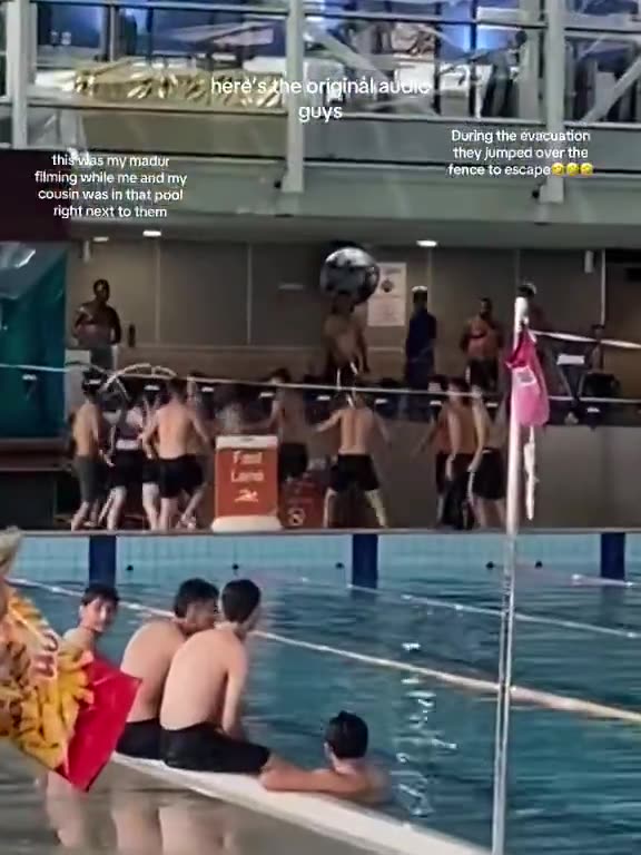 Afghan youths commit violence at a public swimming pool in Melbourne.