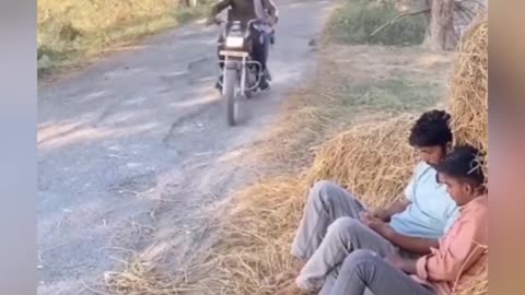 Dog afright funny video 2025 skc.com 20