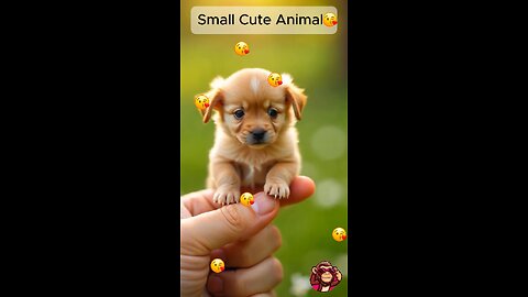 Small Cute Animals: Discover the Most Adorable Tiny Creatures