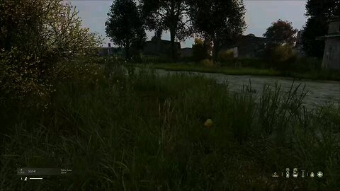 First encounter in DayZ