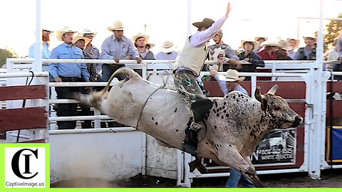 Bull Riding - 2024 White Deer Rodeo