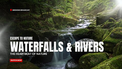 30 Minutes of Relaxing Waterfall Ambiance: Bridal Falls, British Columbia