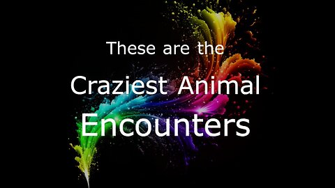 CRAZIEST ANIMAL ENCOUNTERS OF ALL TIME 😲