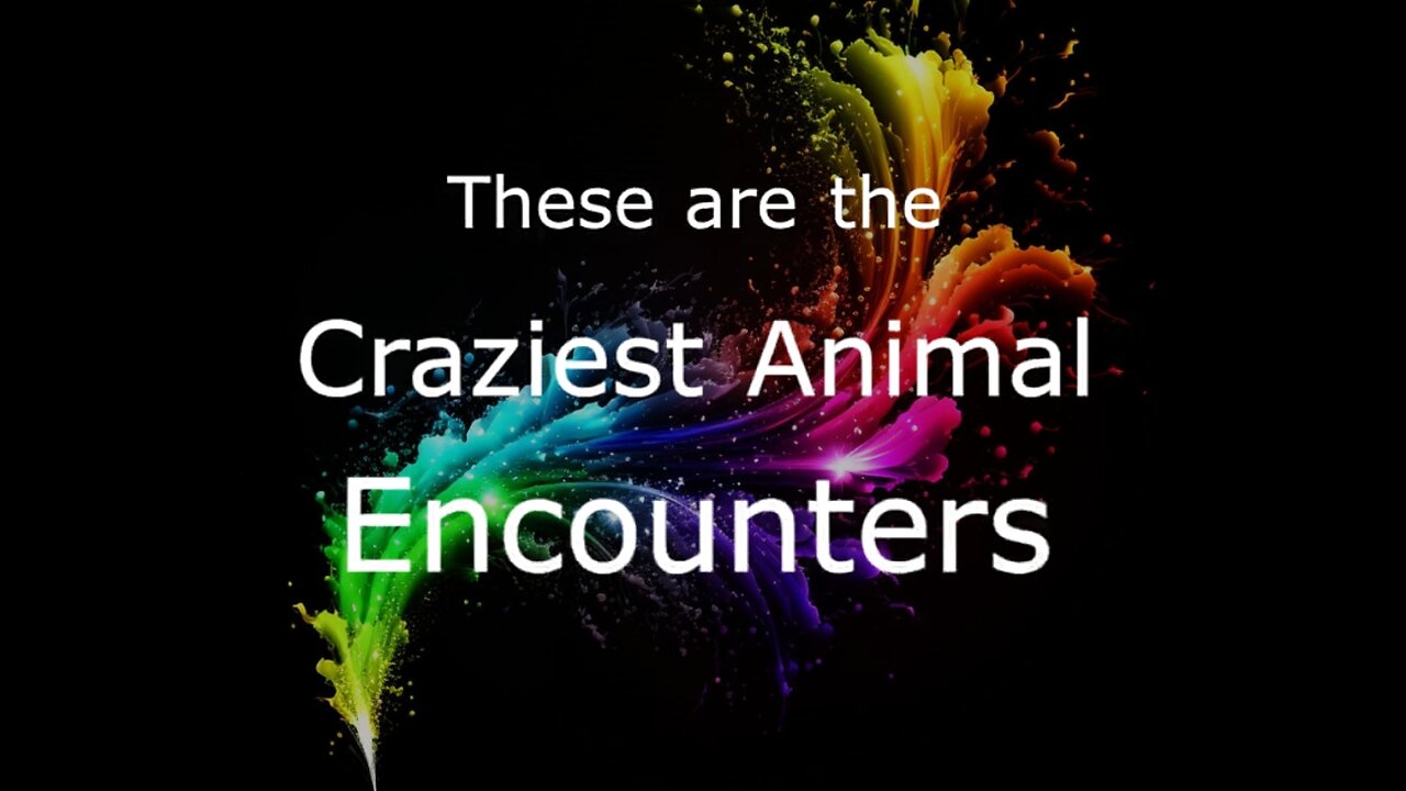 CRAZIEST ANIMAL ENCOUNTERS OF ALL TIME 😲