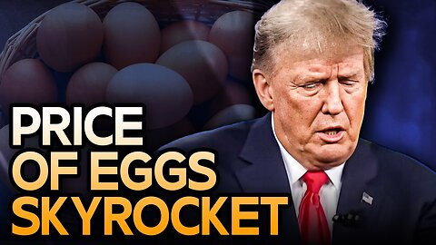 Price Of Eggs Skyrockets As Trump Fails First Major Test As President