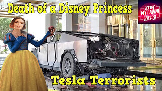 Tesla Terrorists and The Death of a Disney Princess