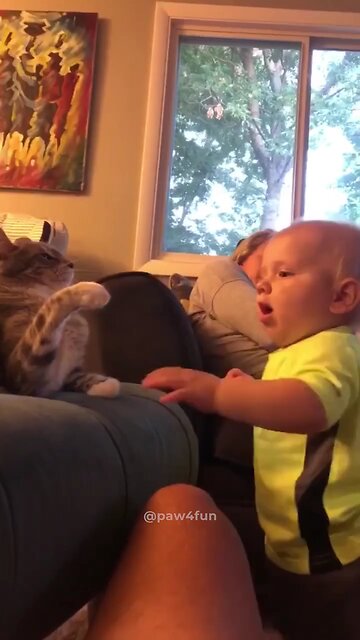 Babies vs cats 😂😂